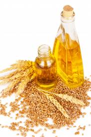Wheat germ oil  (refined)